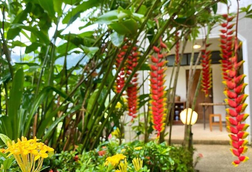 Пансион Guesthouse 88 Phang Nga