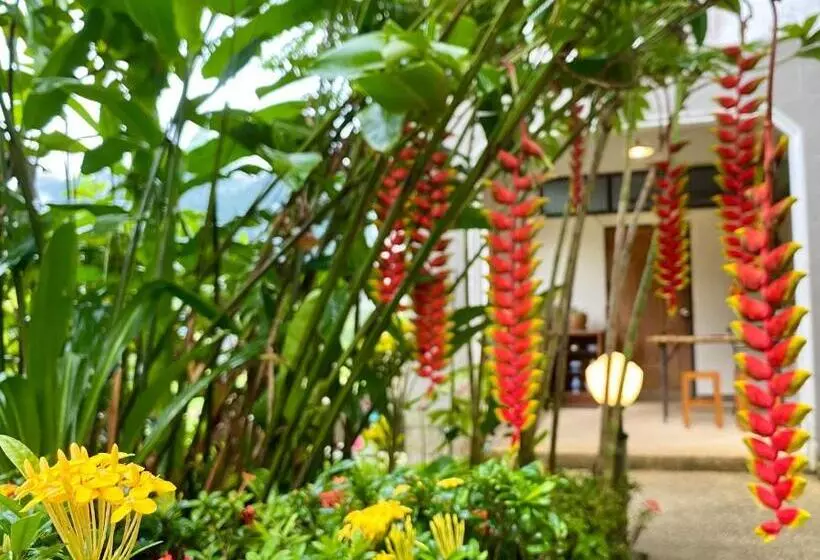 ペンション Guesthouse 88 Phang Nga