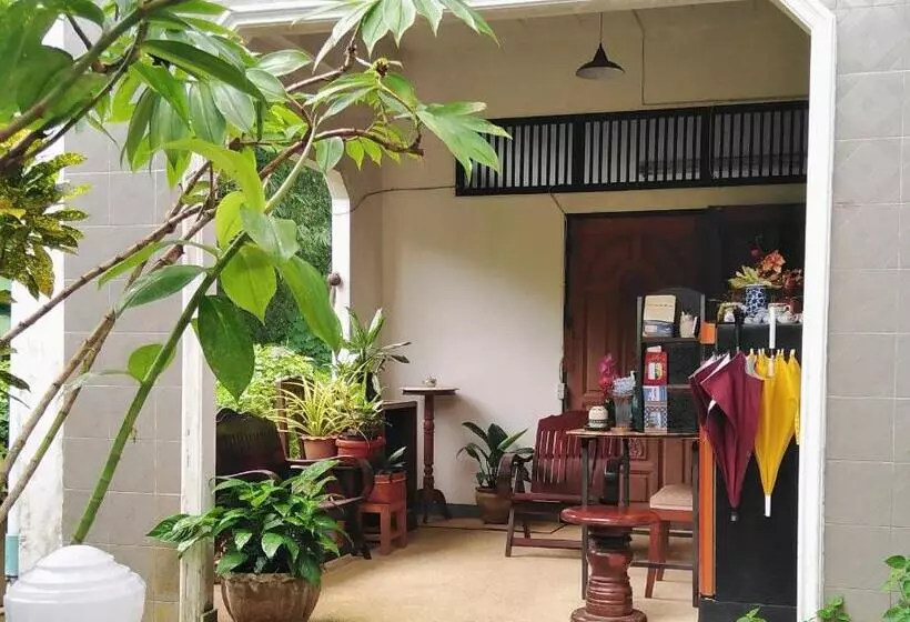ペンション Guesthouse 88 Phang Nga