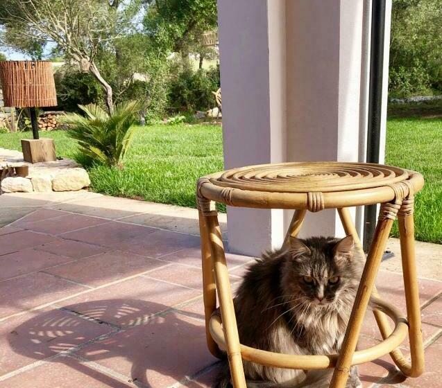 Pensione La Casa Menorca