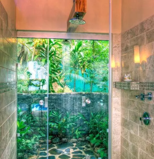 Casa Chameleon Hotel Mal Pais   Adults Only