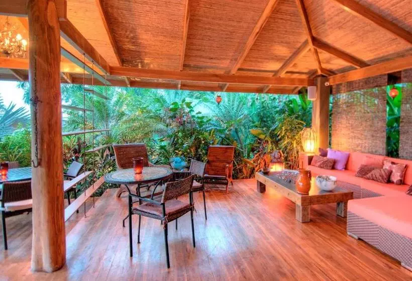 Casa Chameleon Hotel Mal Pais   Adults Only