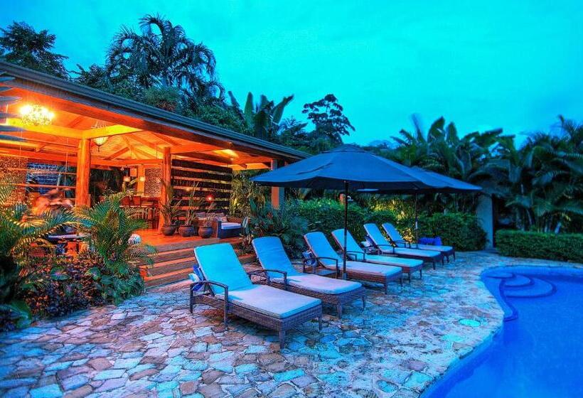 Casa Chameleon Hotel Mal Pais   Adults Only