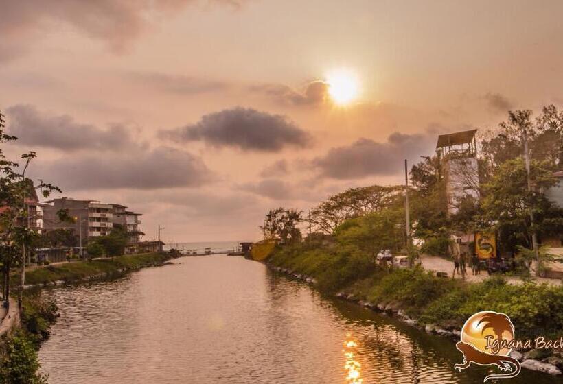 هاستل Iguana Beach House