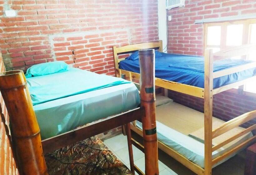 هاستل Iguana Beach House