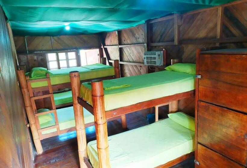 هاستل Iguana Beach House