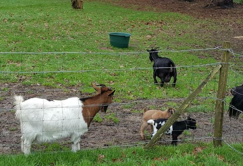 ベッドアンドブレックファースト Les Nymphéas