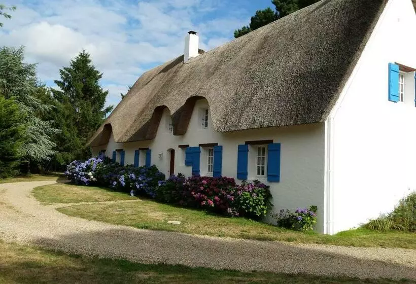 Aamiaismajoitus (B&B) Les Nymphéas