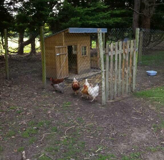 ベッドアンドブレックファースト Les Nymphéas