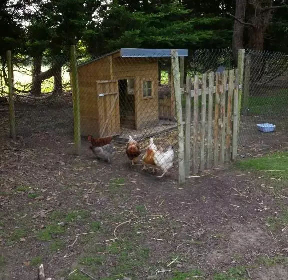 Aamiaismajoitus (B&B) Les Nymphéas