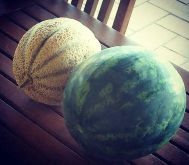 Hotelli Agriturismo Colle D  Oro