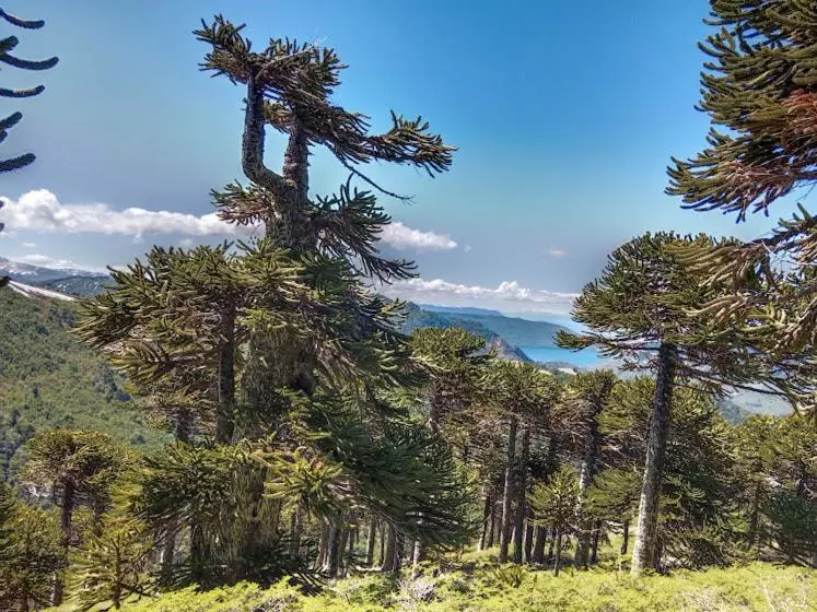 Hotelli Casaverde Hostal Ecologico