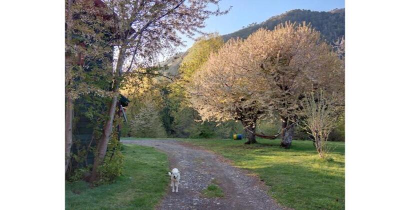 فندق Casaverde Hostal Ecologico