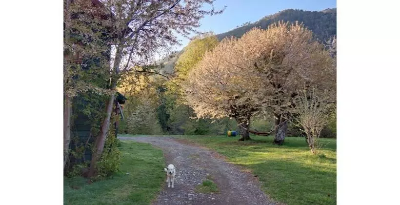 Hotelli Casaverde Hostal Ecologico