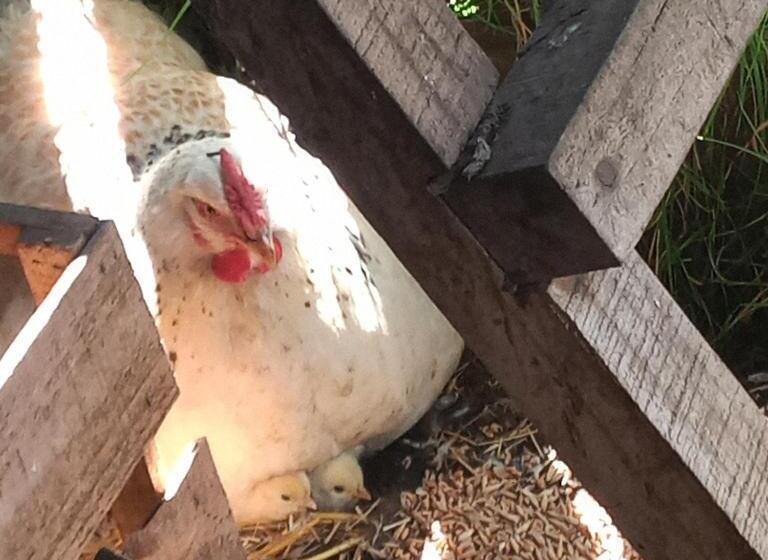 فندق Casaverde Hostal Ecologico