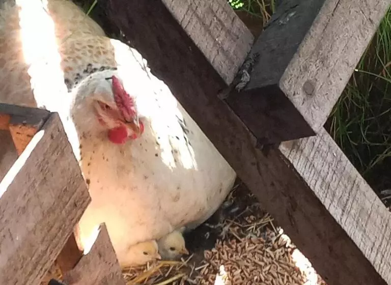 Hotelli Casaverde Hostal Ecologico