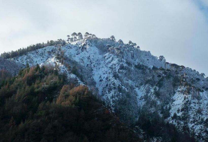 فندق Casaverde Hostal Ecologico