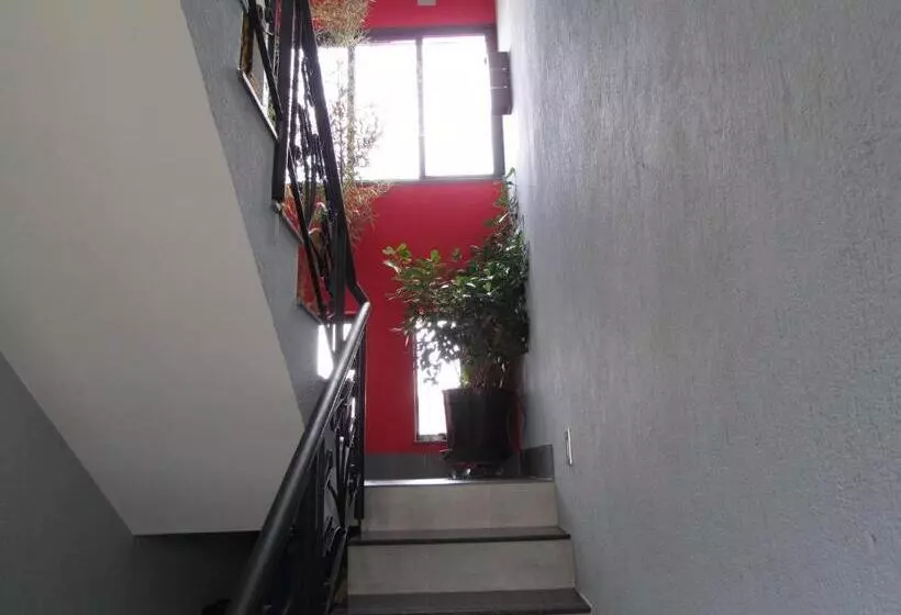 پانسیون Loft Catete Baldô