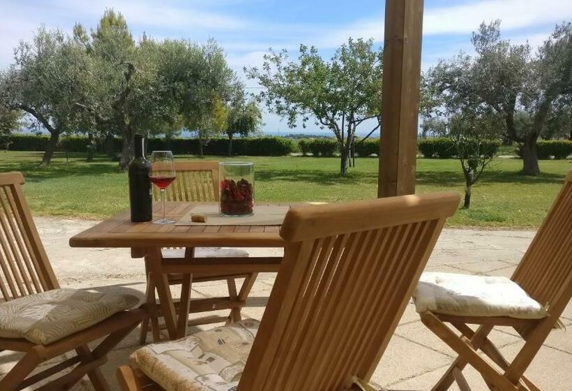 פנסיון Punta Aderci Rooms