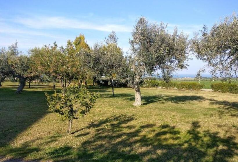 פנסיון Punta Aderci Rooms