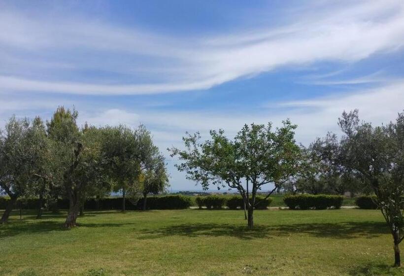 פנסיון Punta Aderci Rooms