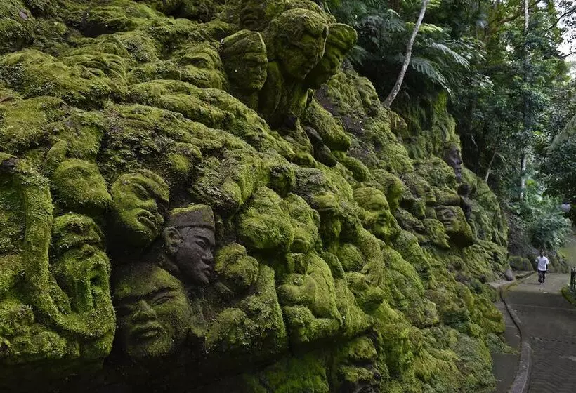 Отель Ayung Resort Ubud