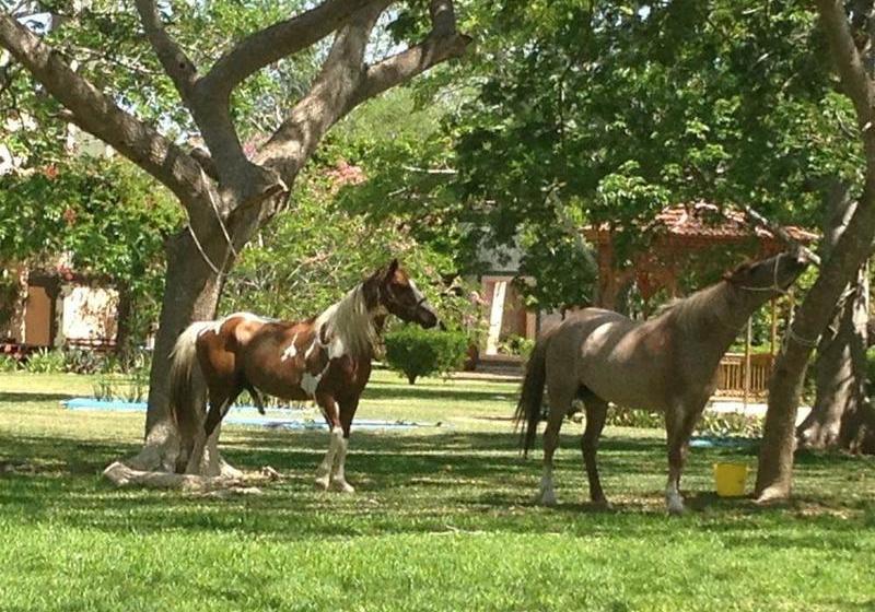 בית מלון כפרי Hacienda San Francisco Tzacalha