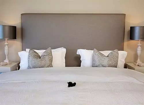 酒店 Hermanus Beach Villa