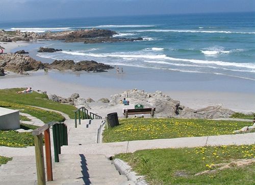 בית מלון כפרי Hermanus Beach Villa