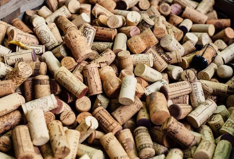 ホテル The Originals City, Hôtel Nîmes Costières, Ex Inter Hôtel