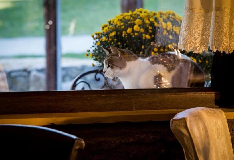 ホテル Atrion Highland