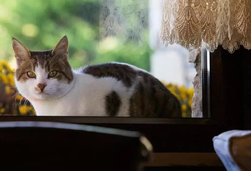 בית מלון כפרי Atrion Highland