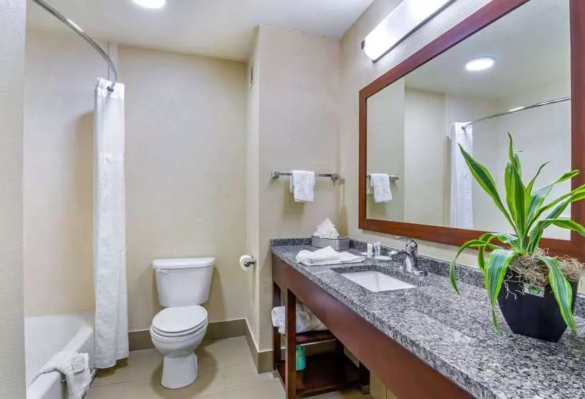 Отель Comfort Inn Ottawa