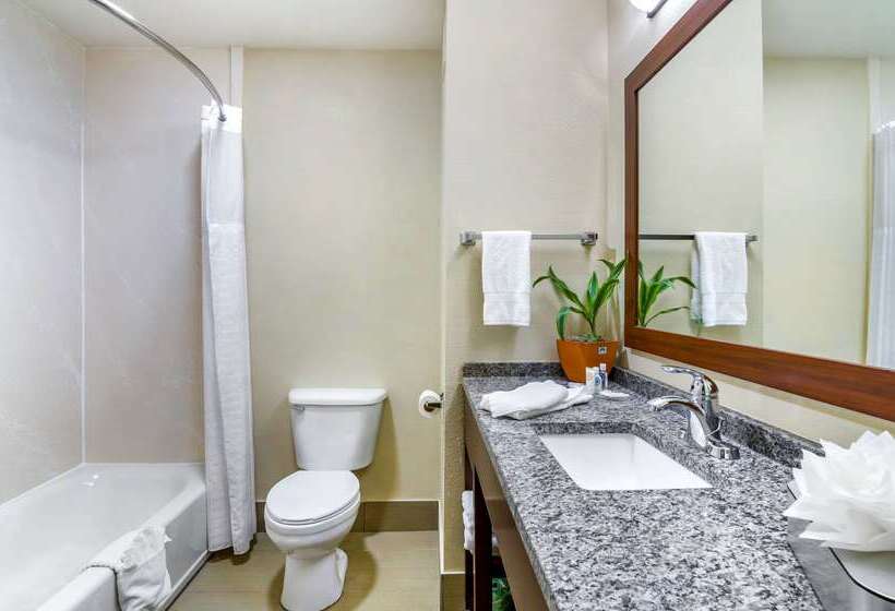 Otel Comfort Inn Ottawa