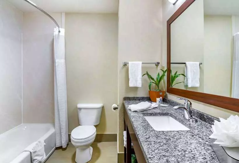 Отель Comfort Inn Ottawa