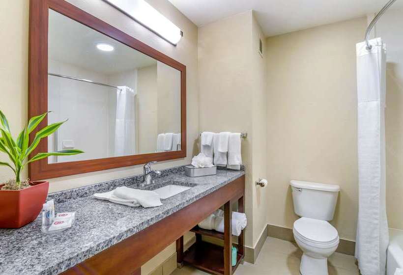 Otel Comfort Inn Ottawa