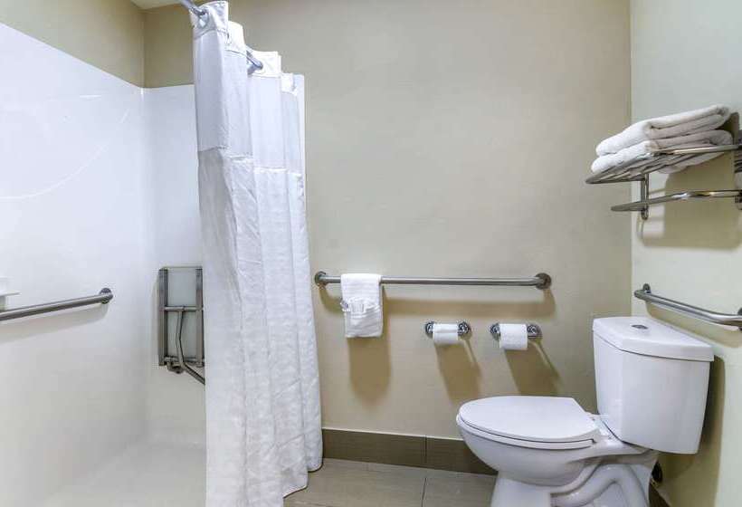 Otel Comfort Inn Ottawa