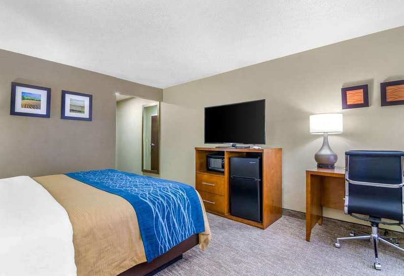 Otel Comfort Inn Ottawa