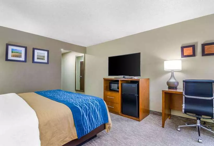 Отель Comfort Inn Ottawa