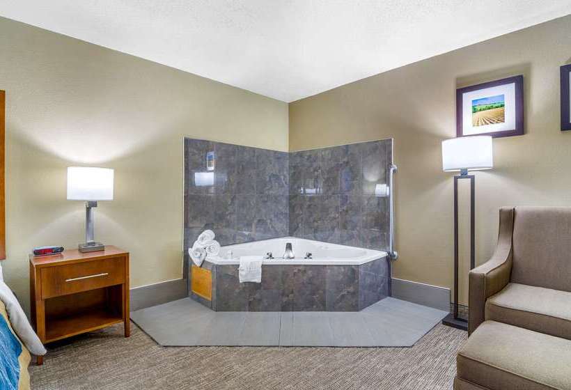 Otel Comfort Inn Ottawa