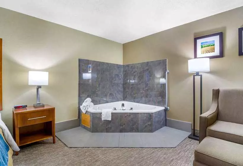 Отель Comfort Inn Ottawa