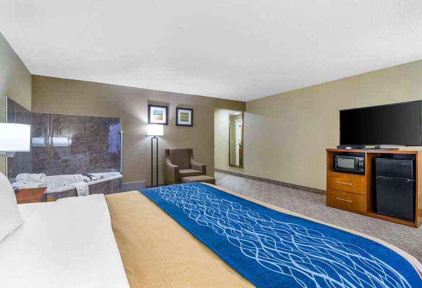 Otel Comfort Inn Ottawa