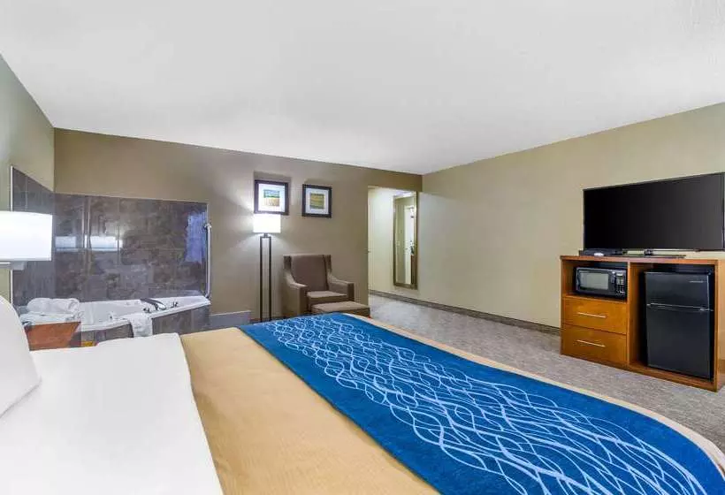 Отель Comfort Inn Ottawa