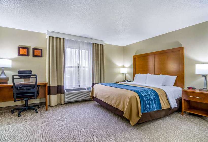 Otel Comfort Inn Ottawa