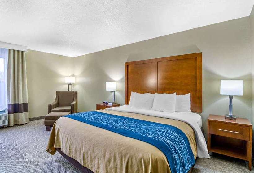 Otel Comfort Inn Ottawa