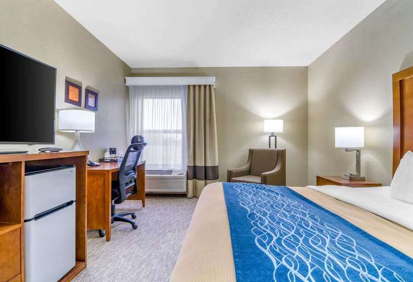 Otel Comfort Inn Ottawa