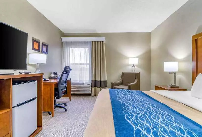 Отель Comfort Inn Ottawa