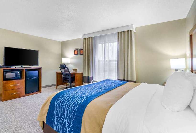 Otel Comfort Inn Ottawa