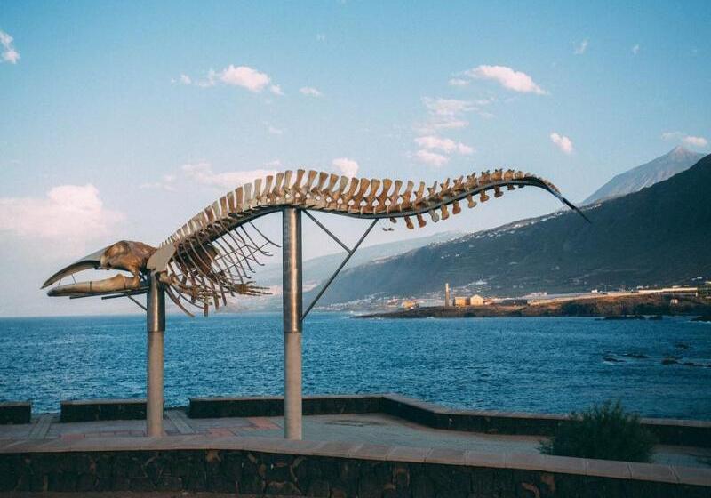 교외 호텔 Rural La Casa Amarilla