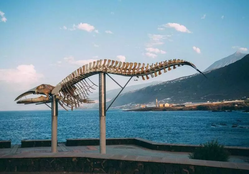 Сельский отель Rural La Casa Amarilla